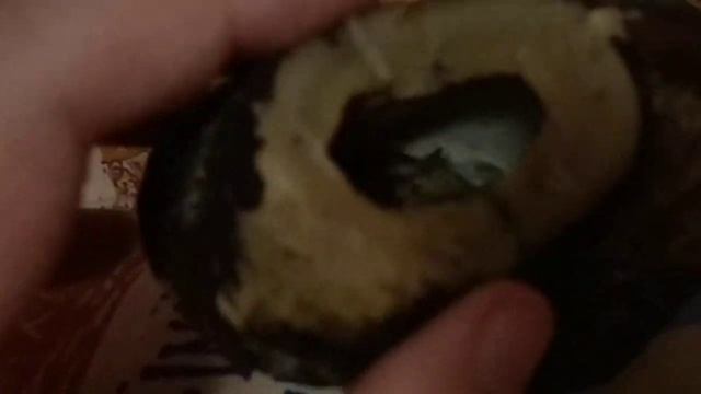 Что стало с бракованным кокосом смотреть онлайн