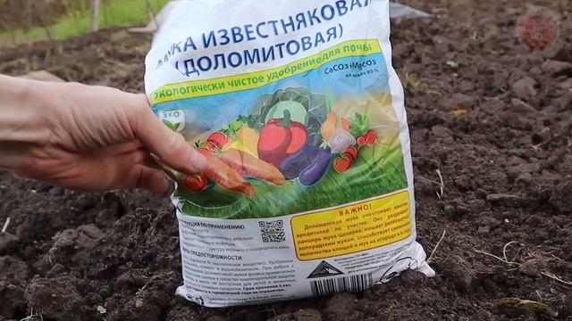 Накидайте такой порошок под все кусты смородины в марте апреле. Урожай будет лучше чем на навозе!