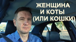 Почему Женщине Лучше с Котами а не с Мужчиной | Что Женщина Ожидает от Мужчины