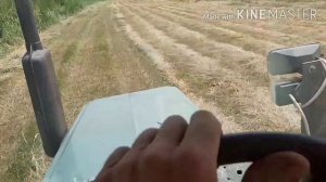 Прессую дикорастущие травы: 398 тюков с 0.8 га!