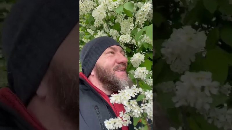 Я на земле живу, как Бог!