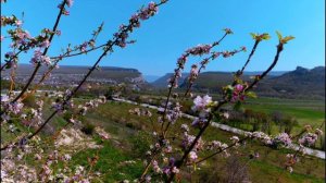 прогулка по Крыму