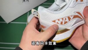 Li Ning DF-01 Max Professional Badminton Shoes Unboxing