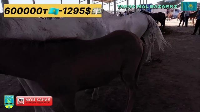 МАЛ БАЗАР 2023 | ЖЫЛҚЫ БАҒАСЫ 20.08.2023 | МАЛ БАЗАР ТАРАЗ | ФЕРМЕРСКИЙ РЫНОК ✅