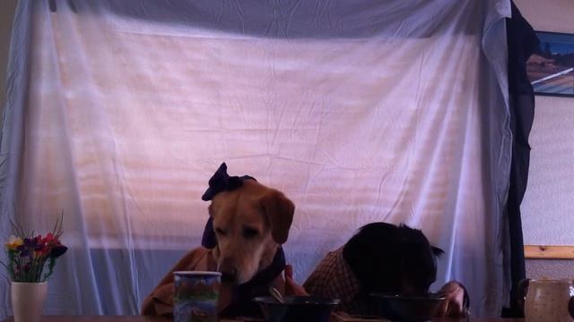 Moonlight & Radar having Breakfast Together смотреть онлайн