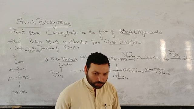 Biosynthesis of starchstarch synthesis in plantsamyloplast and chloroplast are the location