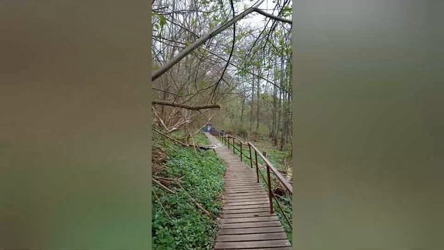 Великим Постом удалось посетить  Святые места Калужской областисвятыерелигия