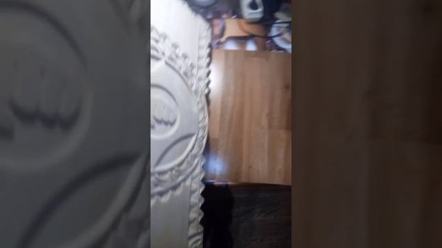 нарды киокушинкай смотреть онлайн