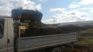 Погрузка навоза. Газель.