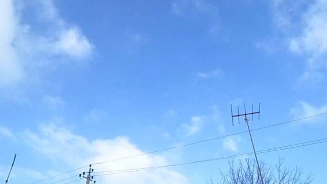 голуби Донбасса аккела промахнулся жаль 22.01.21.