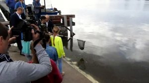 выпуск стерляди в Волгу в Калязине