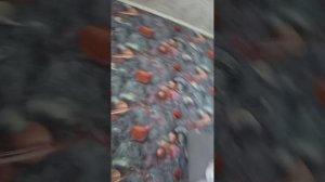 Матвей Сонг