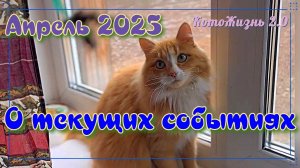Апрель 2025. О текущих событиях