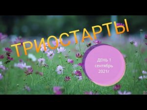#триостарты_сентябрь Триостарты сентябрь/ Джемпер из Глория Джинс.