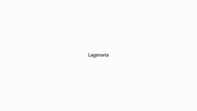 Lagenaria PRONUNCIATION смотреть онлайн