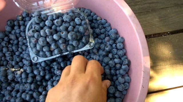 Евроупаковка для голубики и привет Одессе :) смотреть онлайн