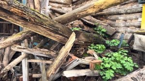 Заброшенное село Балук, Сосновоборский район (30.04.2024)