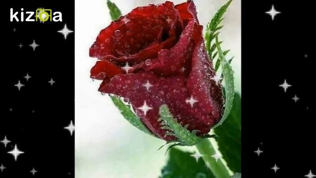 Слайд-шоу: Я & ТЫ смотреть онлайн