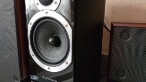 Wharfedale diamond 10.1