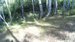 Коп в ущелье 2