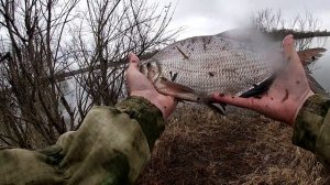 ОТКРЫЛ РЫБОЛОВНЫЙ СЕЗОН В СИБИРИ / ЛЕЩ НА СПИНИНГ/ РЫБАЛКА НА РЕКЕ ОБЬ