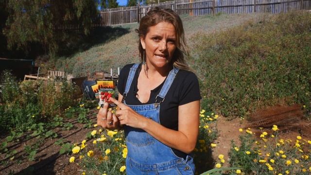 5 of the FASTEST GROWING Plants You Can Grow Seed to Harvest | Get These Quick Crops Going!