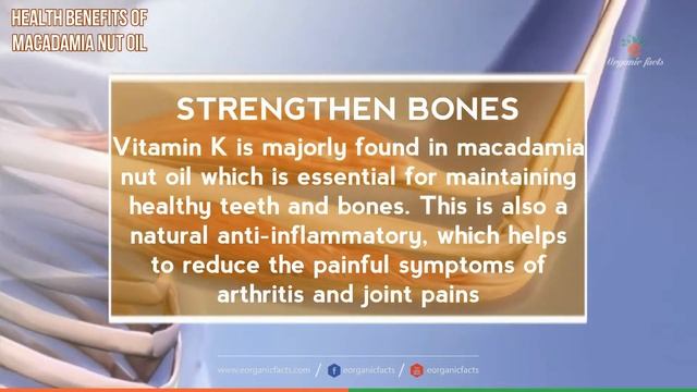 Best Health Benefits Of Macadamia Nut Oil  Benefits Of Macadamia Nut Oil