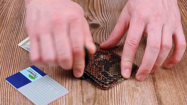 Обзор кожаной визитницы KARYA 20958 смотреть онлайн