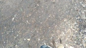 VID_20250415_143001