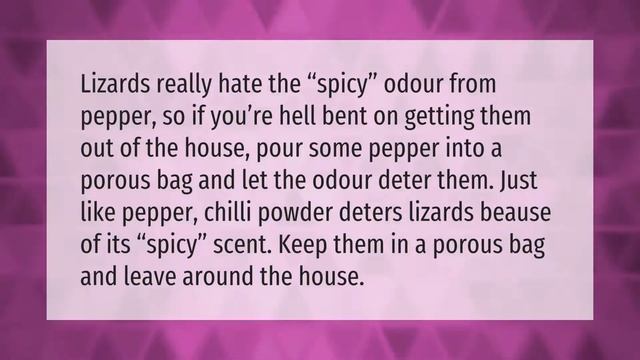 Are lizards poisonous to humans? смотреть онлайн