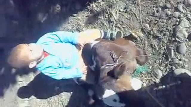 sombari.mp4 смотреть онлайн