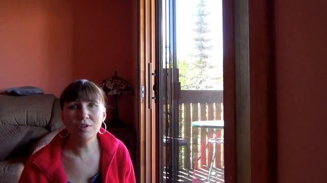 #298 США Аляска Анкоридж Мое отношение к чистоте в доме Советы по уборке смотреть онлайн