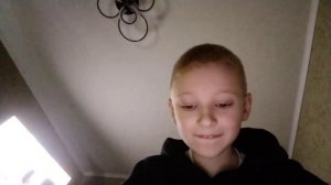 как будет серая птица по-китайски