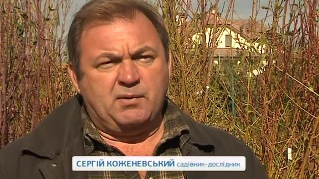 Осенний сезон в саду смотреть онлайн