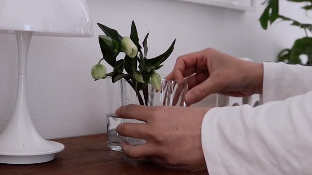 暮らしを整える春の1日|家族が暮らしやすくなるように住んでも続く家づくり|いちごとホワイトチョコレートバニラシャンティイ　vol.18 смотреть онлайн