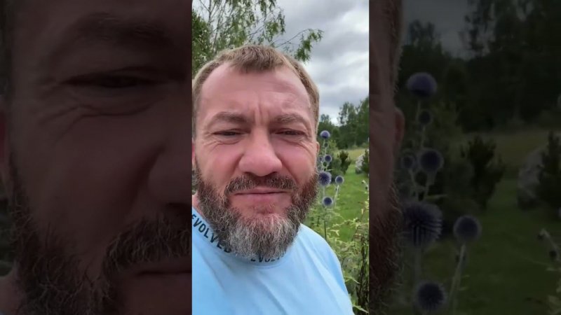 Ах, земля моя - радость далёкая