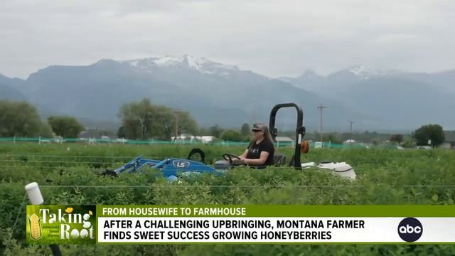 Housewife becomes successful berry farmer смотреть онлайн