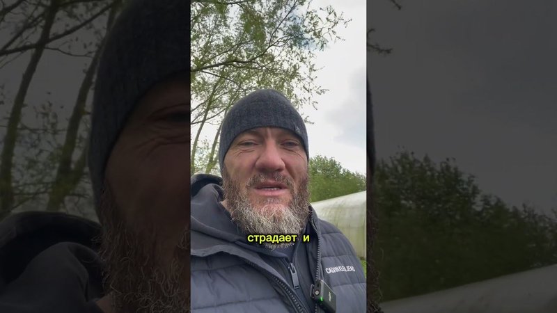 Мы живём как в сказке￼