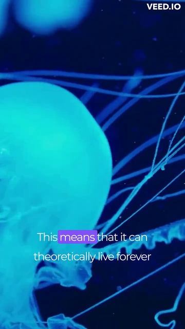 The Immortal Jellyfish: Can We Unlock the Secret to Eternal Life? смотреть онлайн