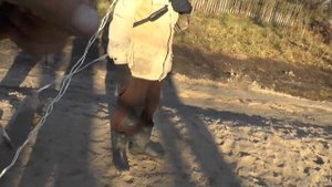 Самодельный  "грейдер" по эпохе. 13.10.2015