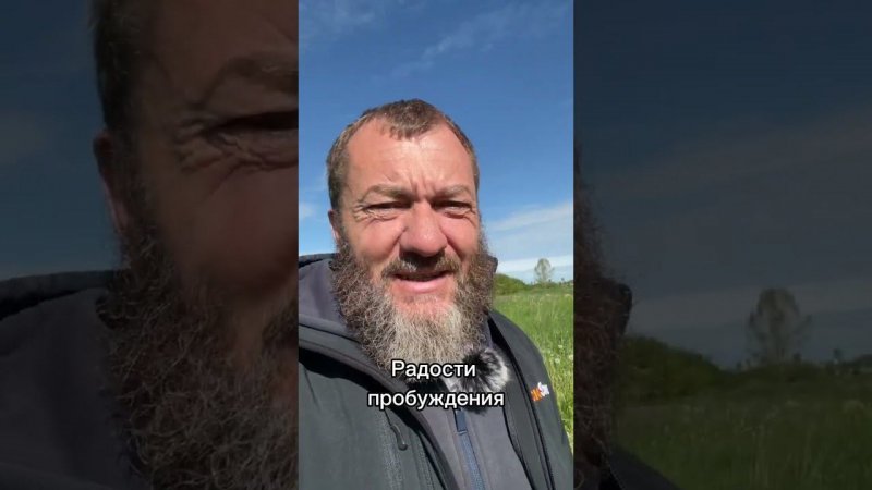 Я живу и радуюсь жизни. Каждый день. Вернитесь к самому себе! Это и есть истинное счастье... #поэзия