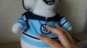 у меня есть снеговик из хк Сибири талисмана команды