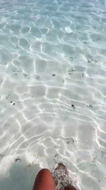 Прозрачная вода Мальдивы Clean Water Maldives смотреть онлайн