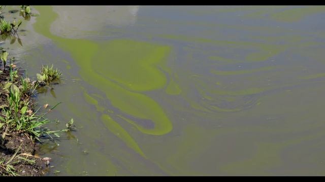 Между Шалготарьяном и Сухово - Кемерово смотреть онлайн