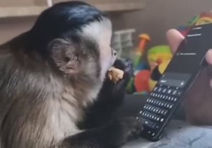 Деньги из воздуха.