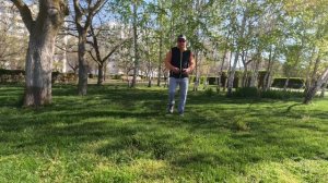 Тюльпаны Евпатории