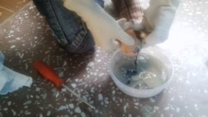 Делаем гомункула