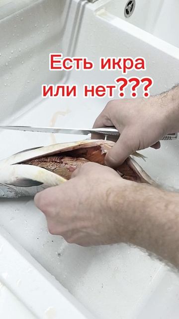 Есть икра или нет??? Кто что думает?