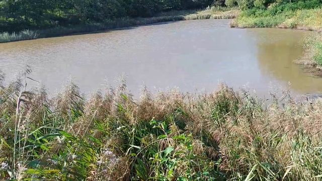 Озеро Липа. Тавричанка 06.09.2023 ч.1 смотреть онлайн