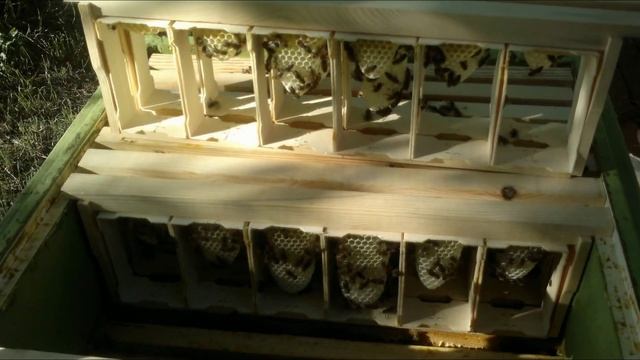 Мед Сотовый Производство Мёда в Мини Рамках Пчёлами Натуральный Воск. смотреть онлайн